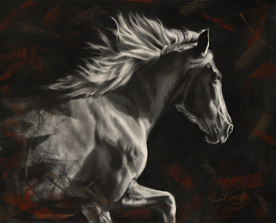Beauty of the Plains