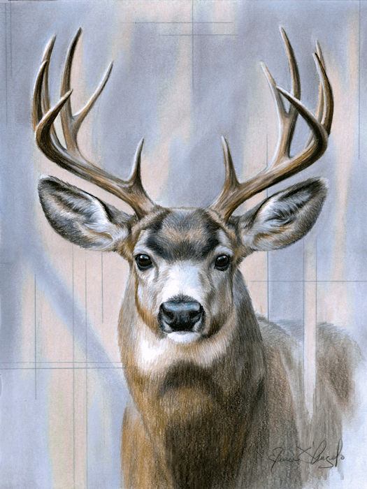 heart of the forest