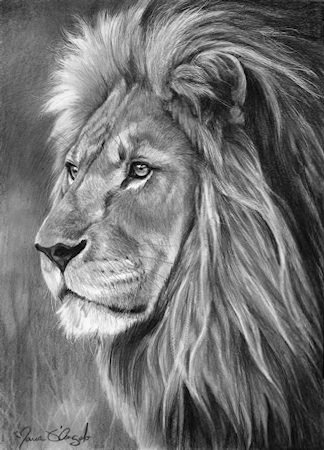 Sovereign