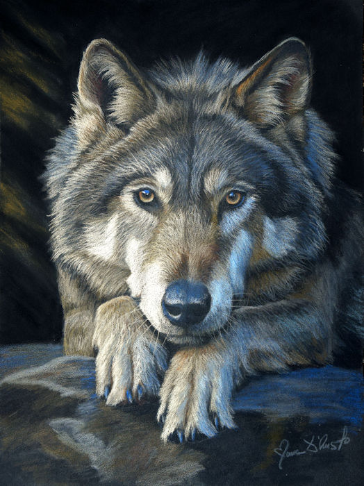 the watcher