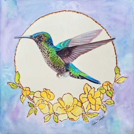bird - hummingbird on blue